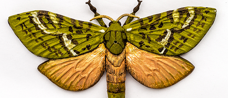 A carved and painted wooden model of a puriri moth