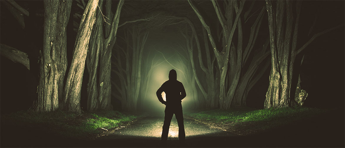 A silhouette of a person stands on a path at night, shining a torch in front of them to illuminate the scene.