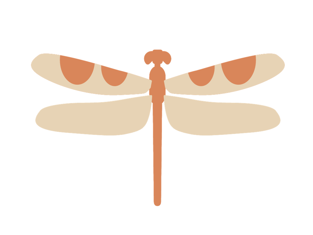 Orange and beige dragonfly illustration on a plain background